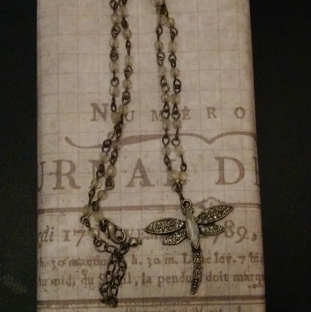 Antique dragonfly necklace with beads